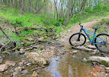 Laurel Hill Mountain Bike Trails