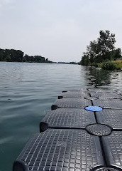 Isla naturista del Danubio Lobau