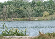 FKK Donauinsel Lobau