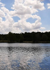 FKK Donauinsel Lobau