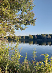 Isla naturista del Danubio Lobau