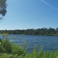 FKK Donauinsel Lobau