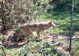 Tierpark Bern