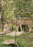 Tierpark Bern