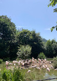 Zoo Bern