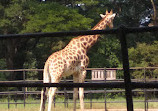 Mysore Zoo