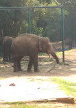 Mysore Zoo