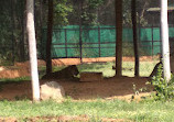 Mysore Zoo