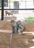 Mysore Zoo