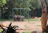 Mysore Zoo