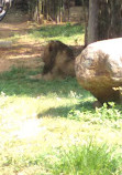 Mysore Zoo