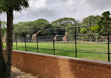 Mysore Zoo