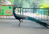 Mysore Zoo