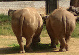 Mysore Zoo