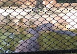 Mysore Zoo