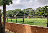 Mysore Zoo