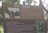 Mysore Zoo