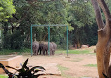 Mysore Zoo