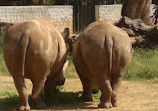 Mysore Zoo