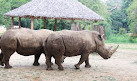 Mysore Zoo