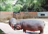 Mysore Zoo