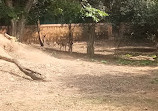 Mysore Zoo