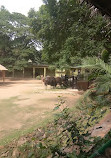 Mysore Zoo