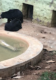 Mysore Zoo