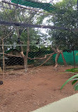 Mysore Zoo