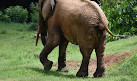 Mysore Zoo