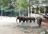 Mysore Zoo