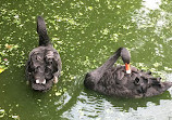 Mysore Zoo