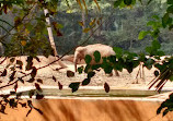 Mysore Zoo