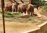 Mysore Zoo