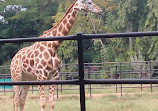 Mysore Zoo