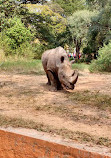 Mysore Zoo