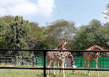 Mysore Zoo