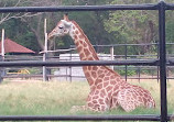 Mysore Zoo