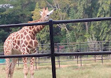 Mysore Zoo