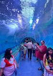 Lokaranjan Aqua World Underwater Zoo