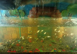 Lokaranjan Aqua World Underwater Zoo