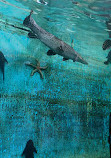 Lokaranjan Aqua World Underwater Zoo