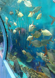 Lokaranjan Aqua World Underwater Zoo