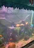 Lokaranjan Aqua World Underwater Zoo