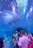 Lokaranjan Aqua World Underwater Zoo