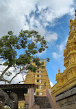 Chamundi Hills Mysuru