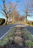 Calvary Cemetery