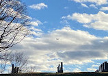 Calvary Cemetery