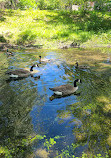 Valley Stream State Park