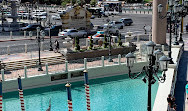 The Venetian Las Vegas